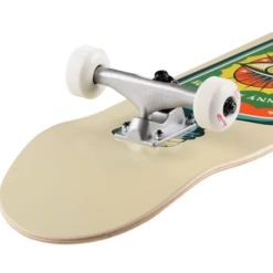 Chocolate - Kenny Anderson - Hecox Essentials Complete - 8.0" -SANTA CRUZ shop chocolate skateboards chocolate kenny anderson hec 2