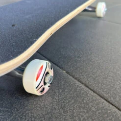 Holiday Skateboards - Sporting Animal Koala Complete - 8.0" -SANTA CRUZ shop holiday skateboards holiday skateboards sporting a 2