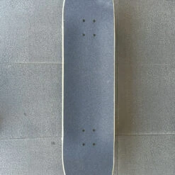 Holiday Skateboards - Sporting Animal Koala Complete - 8.0" -SANTA CRUZ shop holiday skateboards holiday skateboards sporting a 3