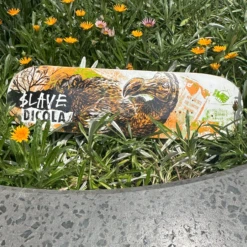 SANTA CRUZ shop 32 $LAVE - Wild Life Dicola - 8.88"