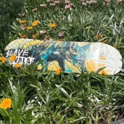 $LAVE - Wild Life Zavala Pink Top Veneer - 8.375"