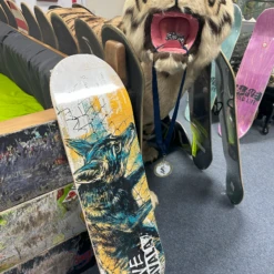 $LAVE - Wild Life Zavala Teal Top Veneer - 8.375"